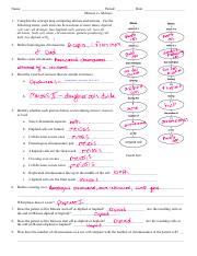 mitosis vs meiosis worksheet answers