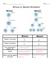 mitosis vs meiosis worksheet answers