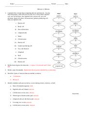 mitosis vs meiosis worksheet
