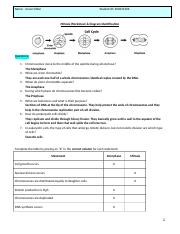 mitosis worksheet and diagram identification answers