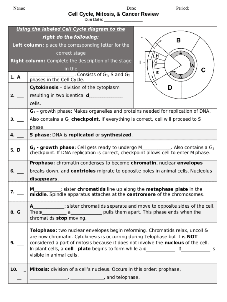 cell cycle and mitosis worksheet Doc Template, Sign | pdfFiller