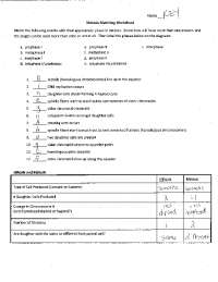 Meiosis Matching Worksheet Answer Key | Exercises Cell Biology ...