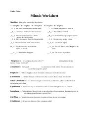 Nneka Porter Mitosis homework.docx - Nneka Porter Mitosis ...
