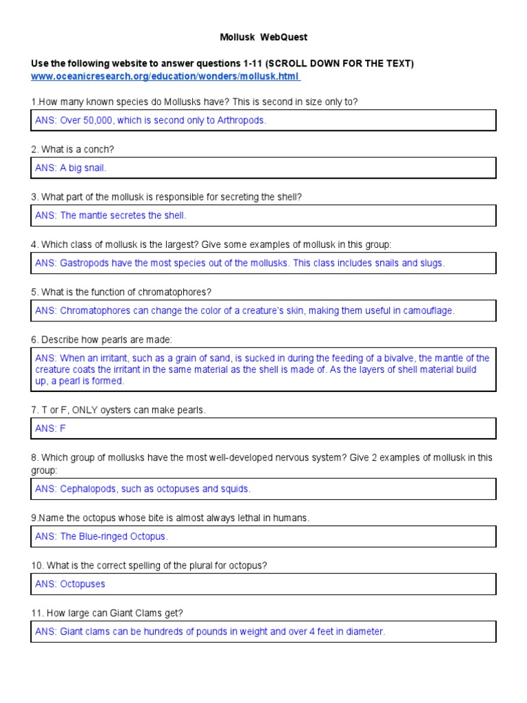 mollusk worksheet