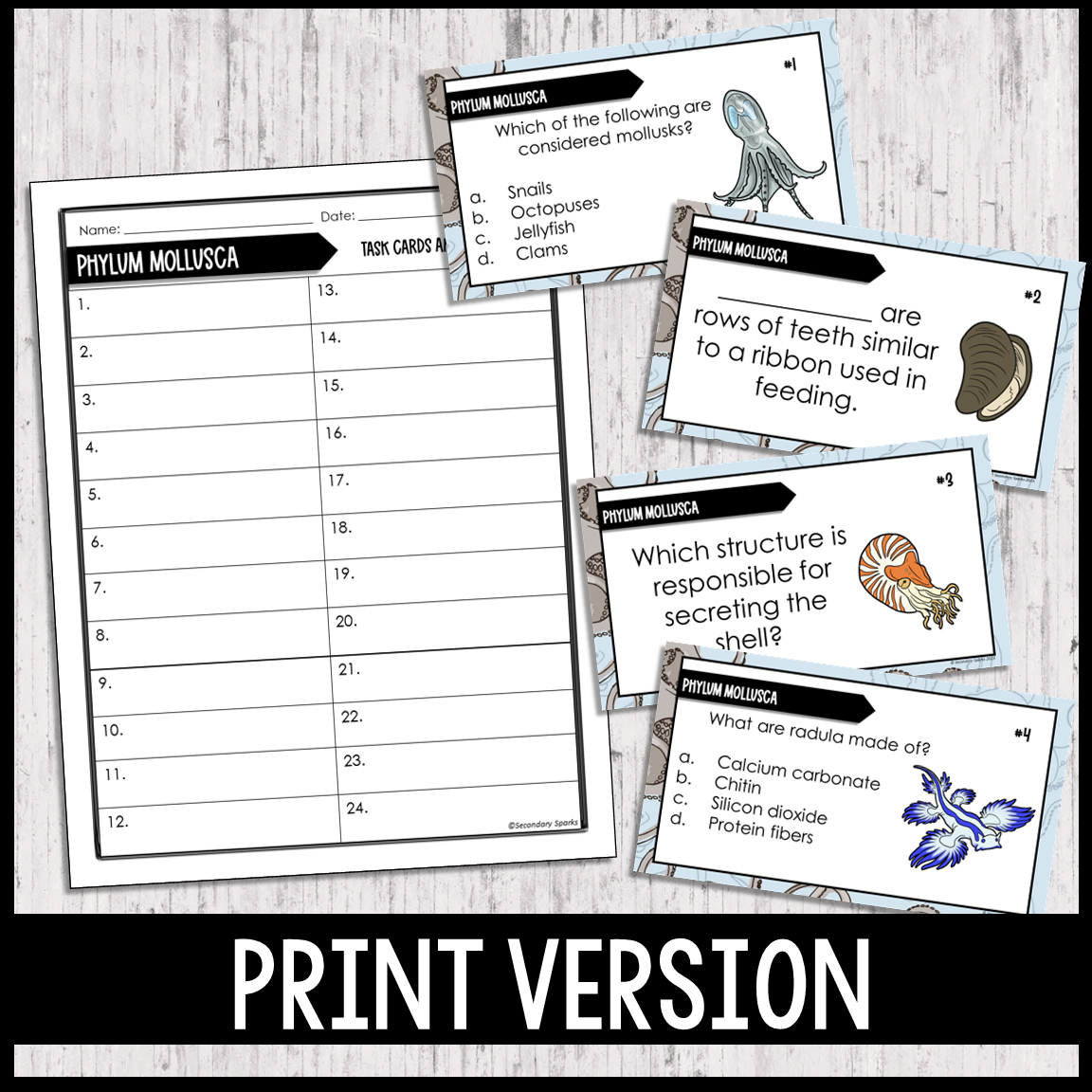 Phylum Mollusca Task Cards Editable and Google Forms™