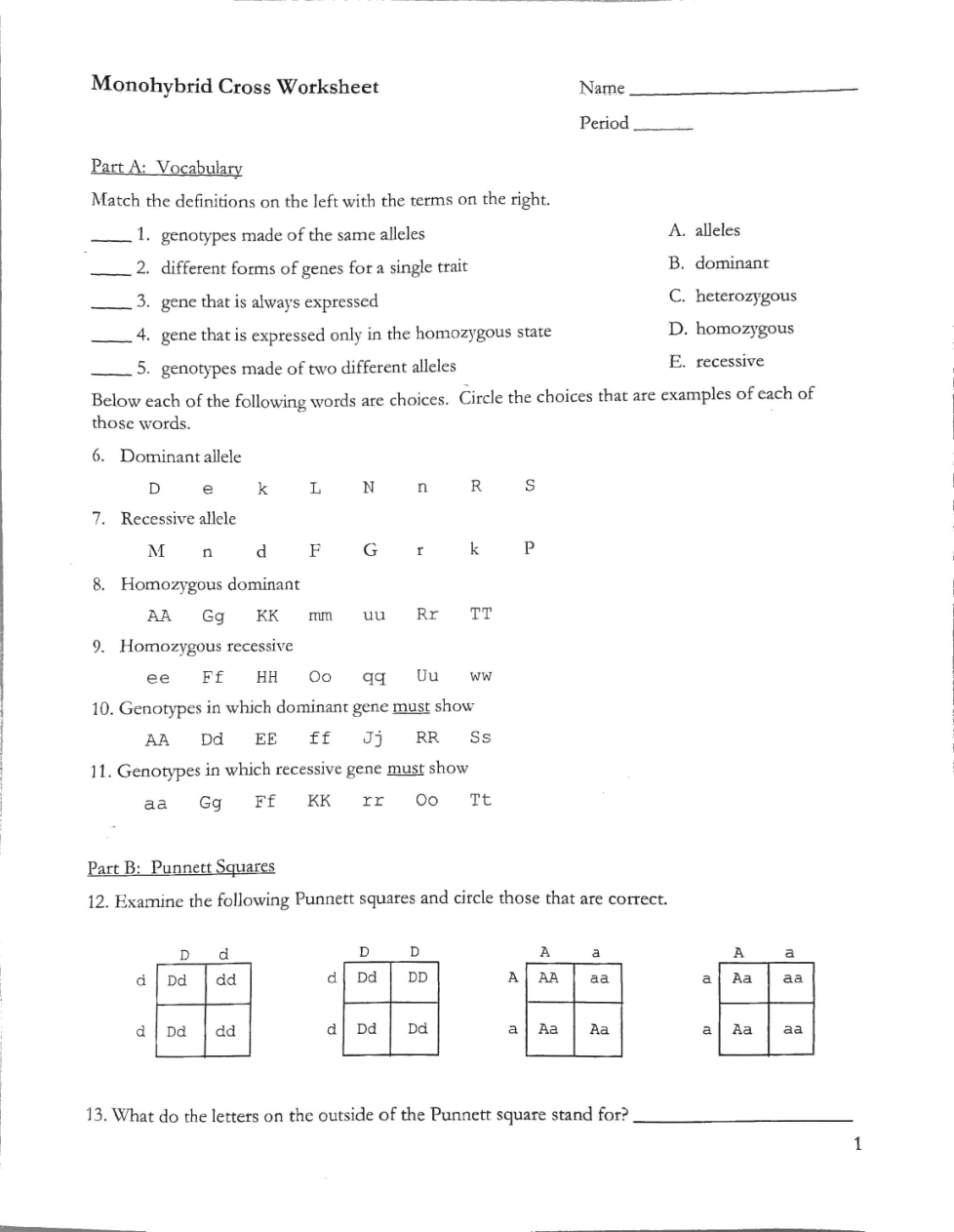 monohybrid cross worksheet answers