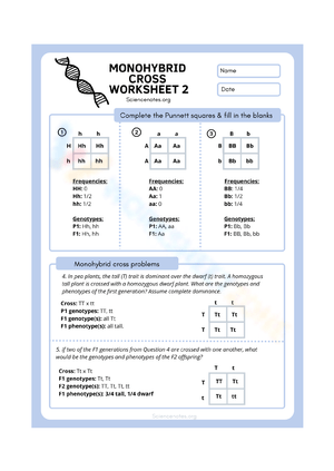 Cross Worksheet Collection For Teaching &  Learning