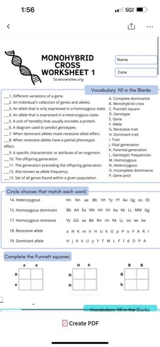 monohybrid crosses worksheet answers