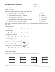 2 14 What do the letters on the inside of the Punnett square stand ...