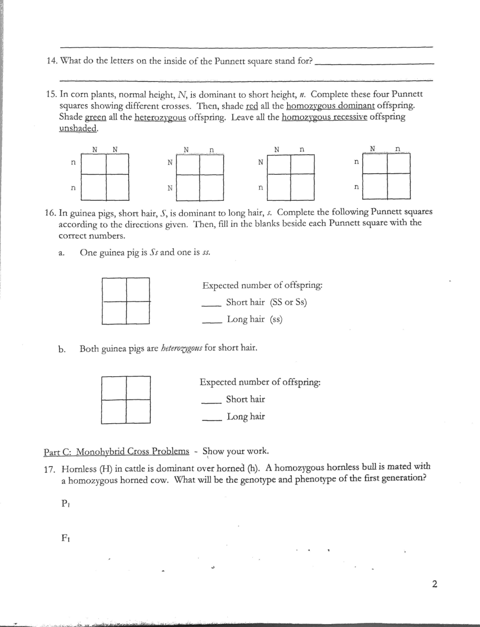 Monohybrid Cross Worksheet - Heather E. Fussell | Library | Formative