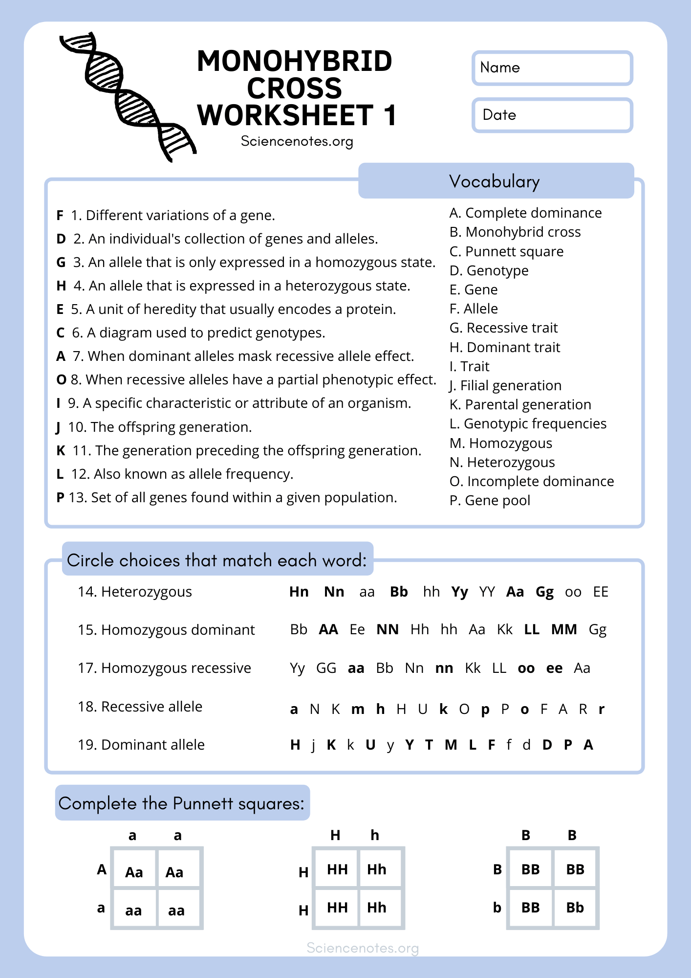 monohybrid worksheet