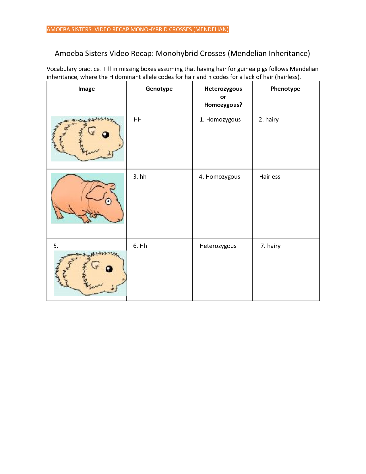 SOLUTION: Amoeba Sisters Video Recap Monohybrid Crosses Mendelian ...