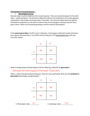 Monohybrid Worksheet - Part 1 - BIOL 1408 - CTC - Studocu