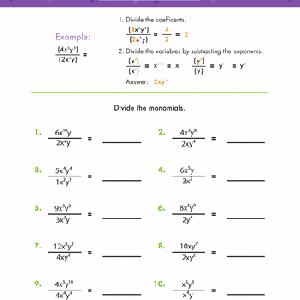 Dividing Monomials - Algebra Worksheets 