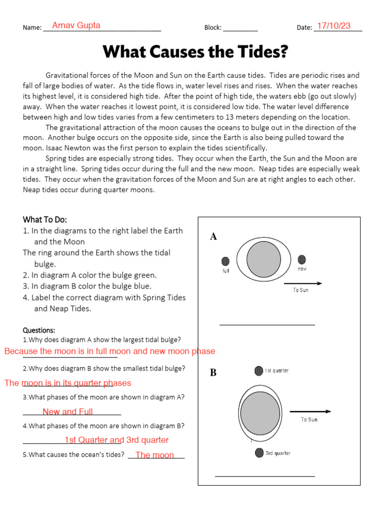 Tides Fact Worksheet Science Resource teacher Made Worksheets Library