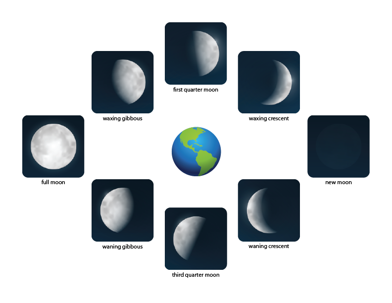 Phases of the Moon Worksheets - Gift of Curiosity