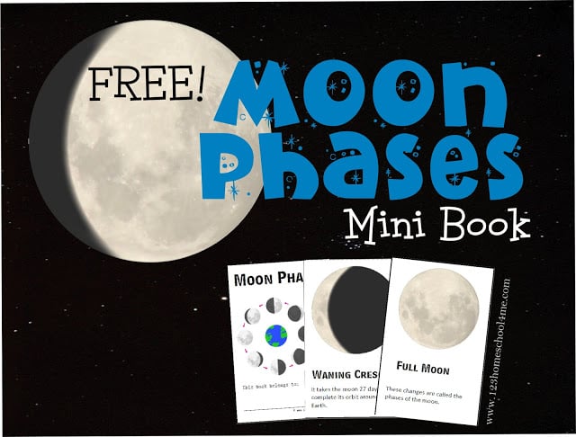 moon phases worksheet for kids