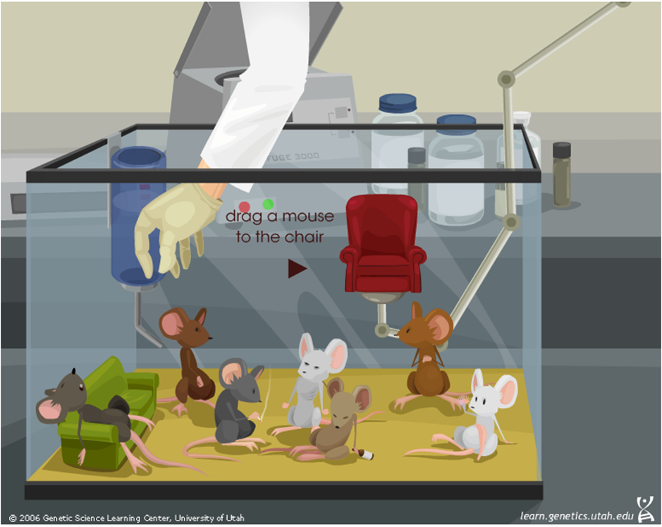 Mouse Party: Educational Game - Positive Choices