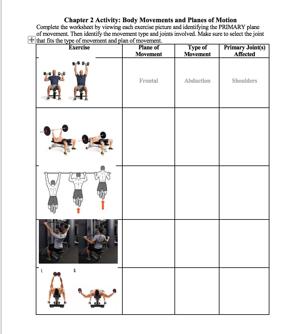 movement of the body worksheet