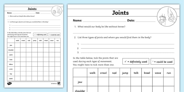 movement of the body worksheet
