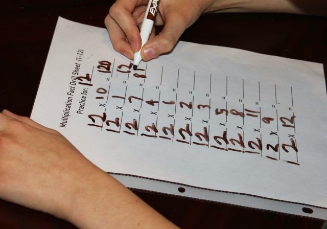 Multiplication Drill Sheet {Printable} : Half a Hundred Acre Wood