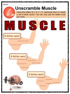 Muscular System Facts &  Worksheets for Kids | Types, Function, Health