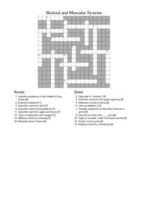 Muscular System Lesson Plans &  Worksheets | Lesson Planet