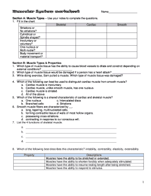 muscular system worksheet pdf