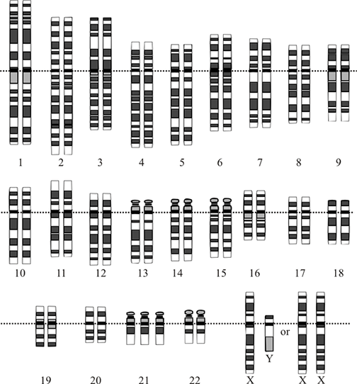 All Sorts of Mutations: Changes in the Genetic Code - Lesson ...