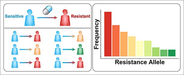 Engineers model mutations causing drug resistance | Penn State ...