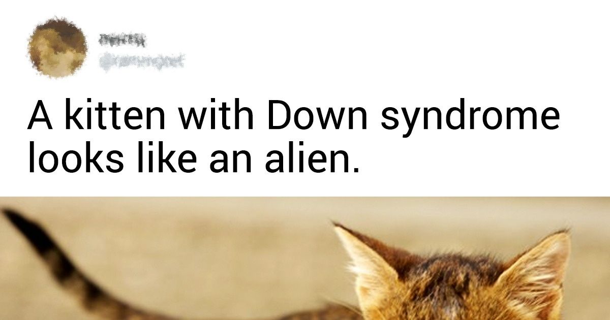 15+ Animals Whose Genetic Mutations Only Added to Their Charm ...
