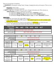 DNA Mutations Practice Worksheet 2021.pdf - There are several ...