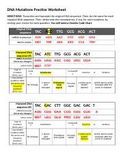 DNA-Mutations-Practice-Worksheet-KEY-1v9laqc.doc - DNA Mutations ...