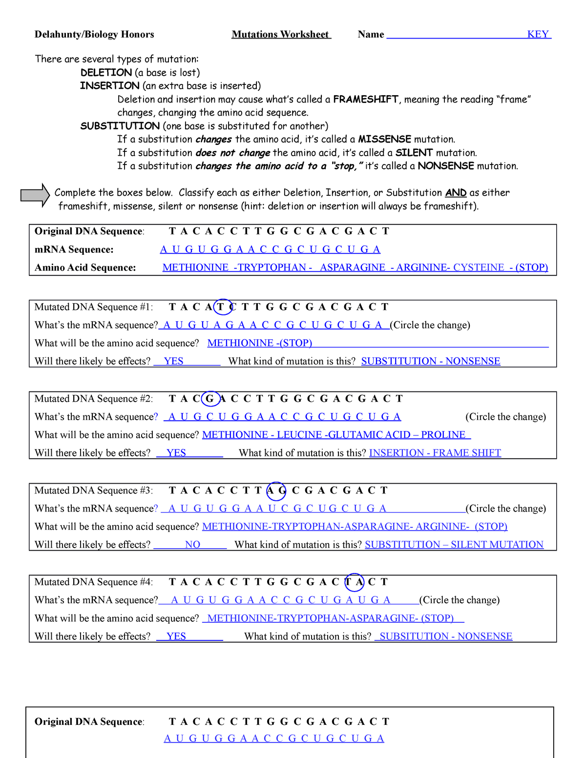 Mutations - WS - KEY - Sonal Tonger - Delahunty/Biology Honors ...