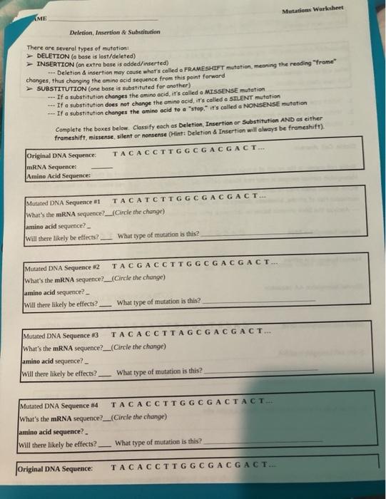 mutations worksheet answers biology