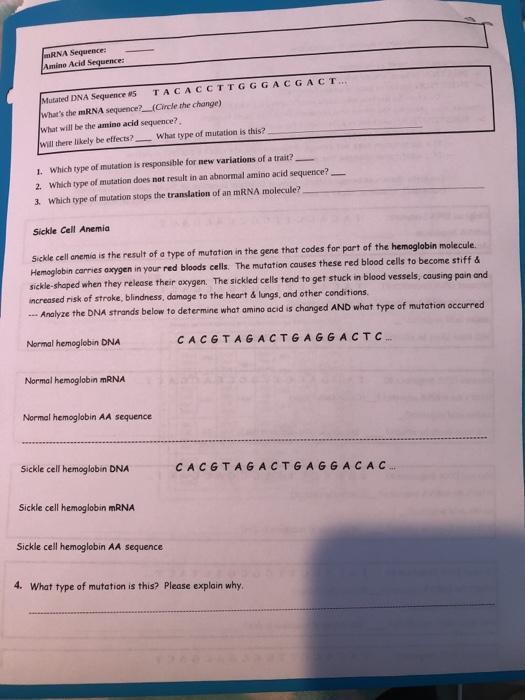 Solved Mutations Worksheet ME Deletion, Insertion &  | Chegg.com