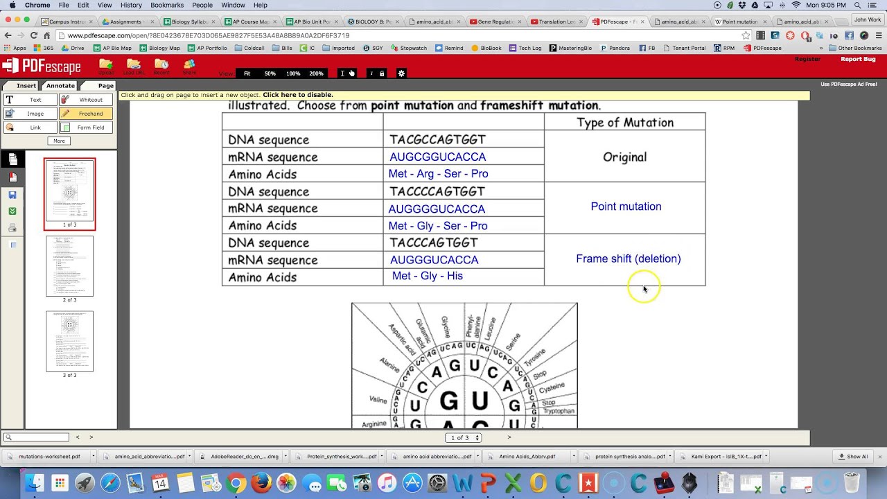 mutations worksheet answers