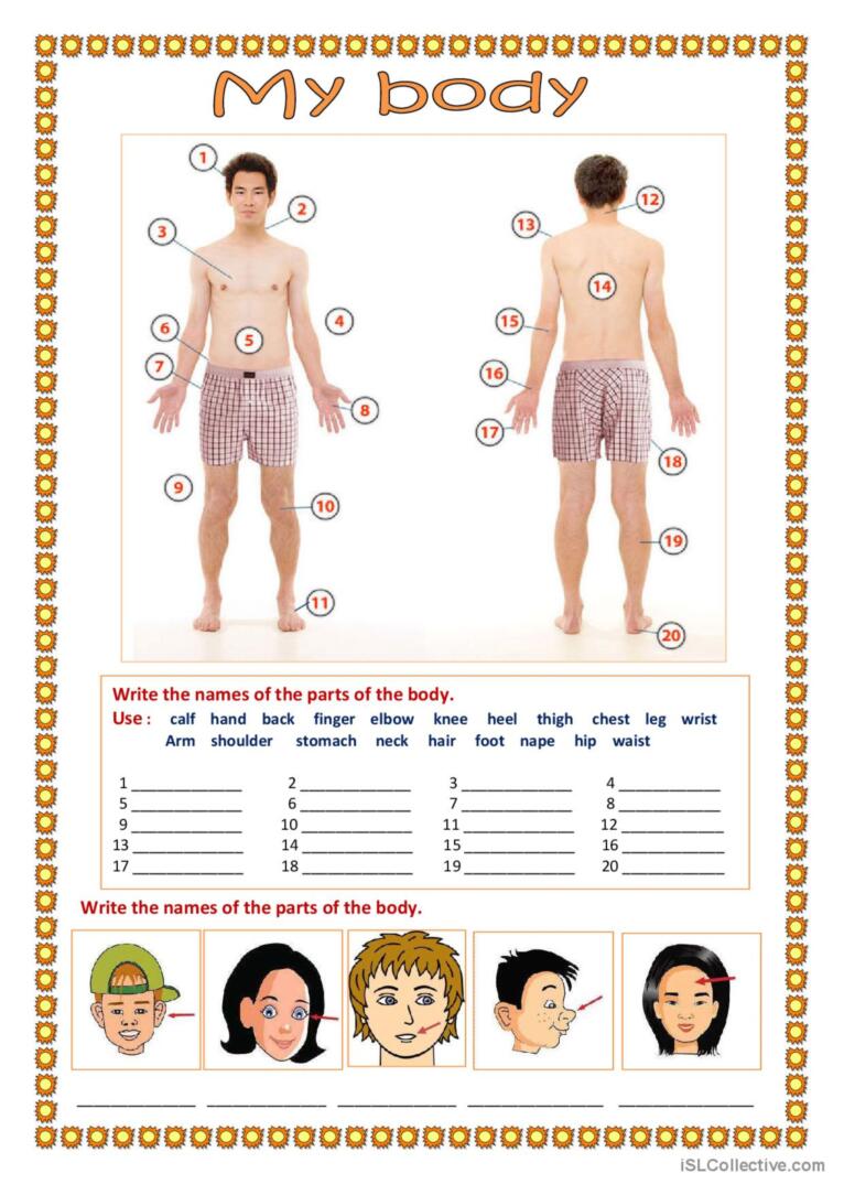 This is my body! worksheet | Education english, Learn english ...
