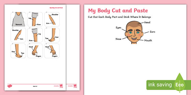my body worksheet