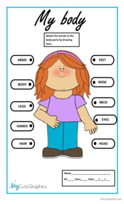 My Body - ESL worksheet by faisalconet