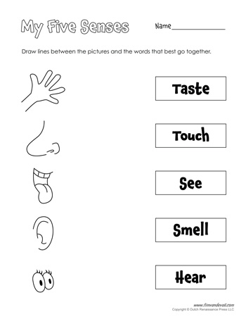 Five Senses Worksheets for Kids, plus 5 Senses Craft - Tims ...