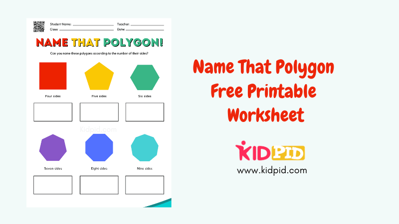 name the polygon worksheet