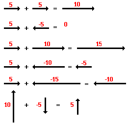 Determining the Net Force