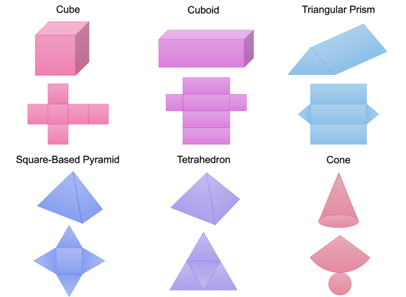 nets of 3d shapes worksheet