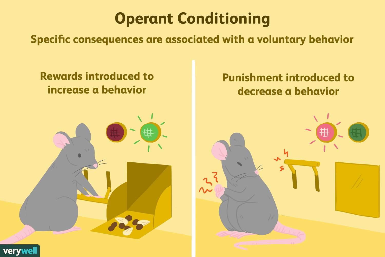 new about operant conditioning