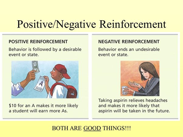 new about operant conditioning