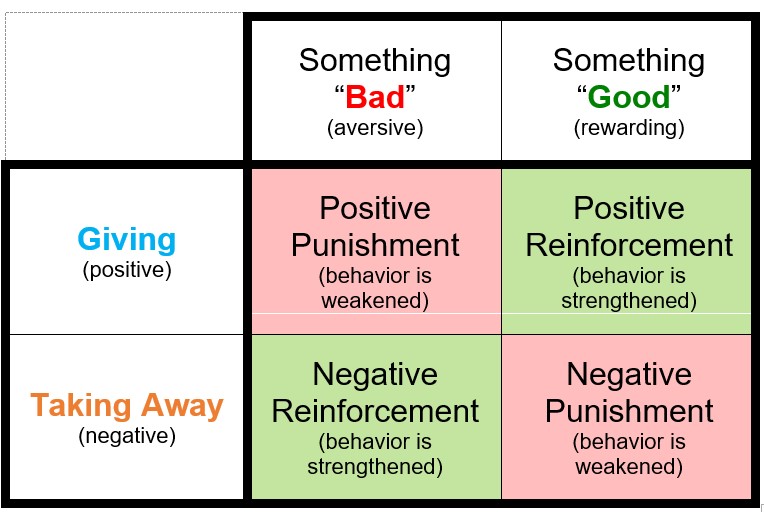 new about operant conditioning