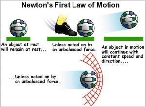 newton laws of motion worksheet middle school