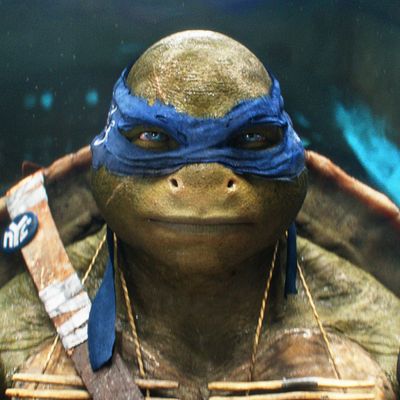 Teenage Mutant Ninja Turtles Ultimates Sammelfiguren Wave 1