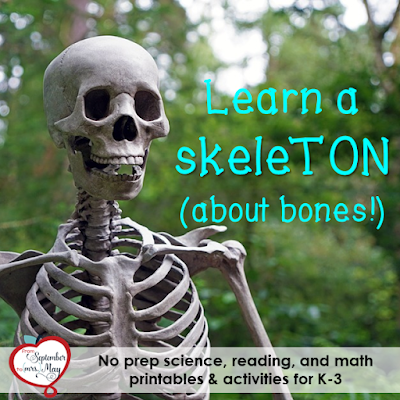 no bones about it worksheet
